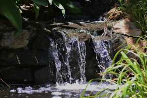 carrick hill 2014 (72)